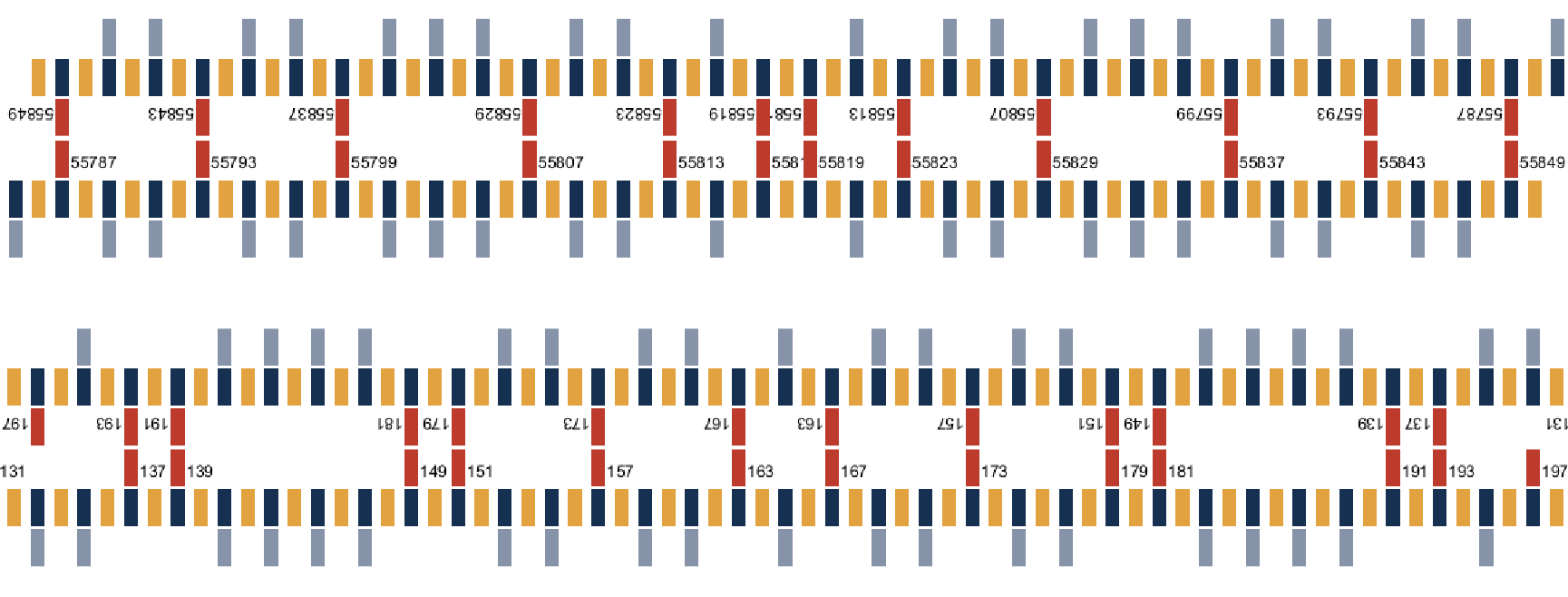 prime alignment by inversion and transposition